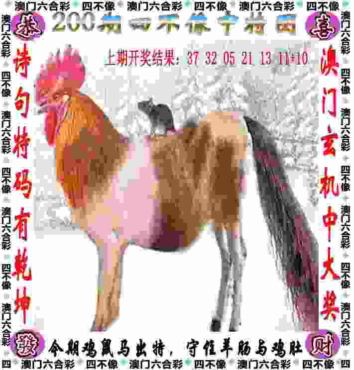 健康跑下月合肥开跑  即日起可在线报名